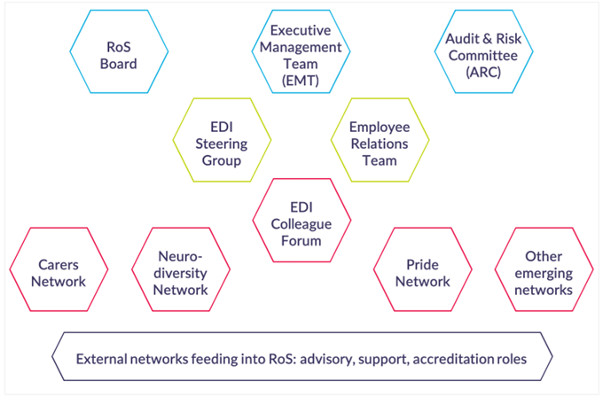 Visual representation of EDI governance structure 